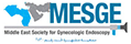 mesge logo